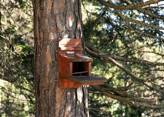 Alpine By Quokka 360 - Terrace With Magnificent Mountain Views