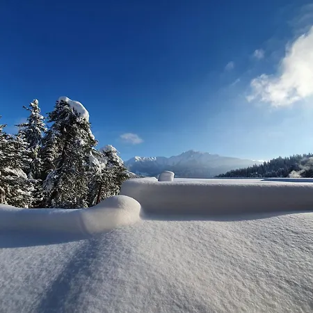 Apartment Alpine By Quokka 360 - With Sun Terrace In The Mountains Laax